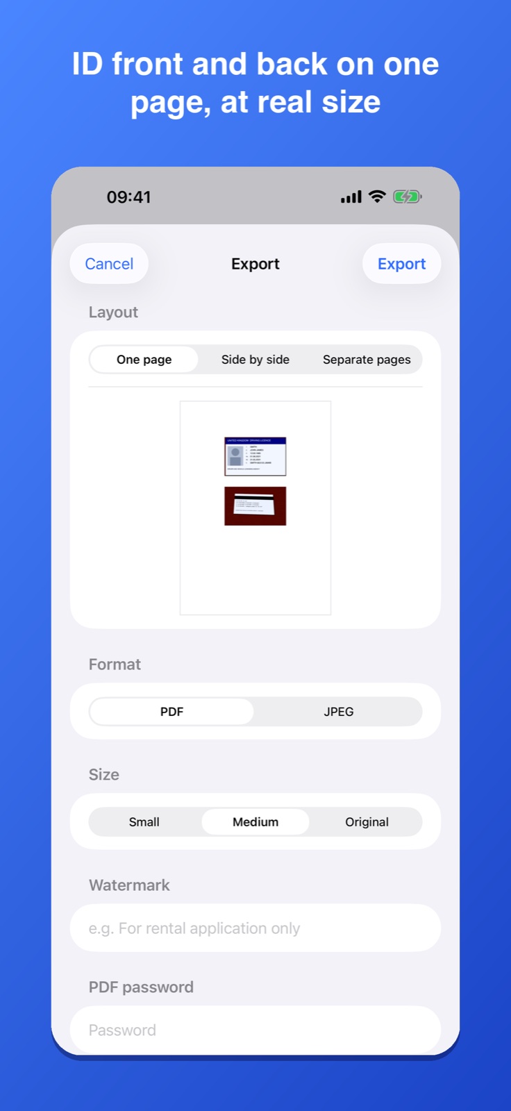 DocuPair screenshot 1